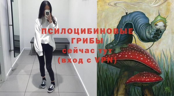 прущие крисы Балахна