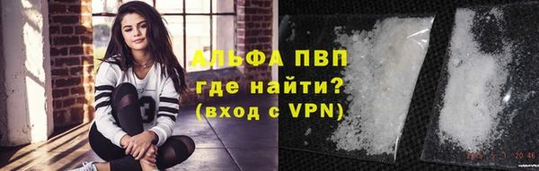 гидропоника Пересвет