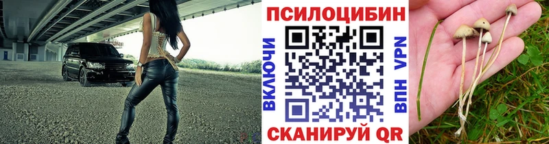 Псилоцибиновые грибы Psilocybine cubensis  Отрадное 